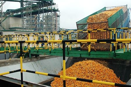 敦煌種業(yè)先鋒良種有限公司酒泉種子加工廠三、四期工程竣工投產(chǎn)