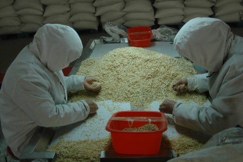 蘭州海關關長張銀喜等領導到敦煌種業(yè)百佳食品公司調研