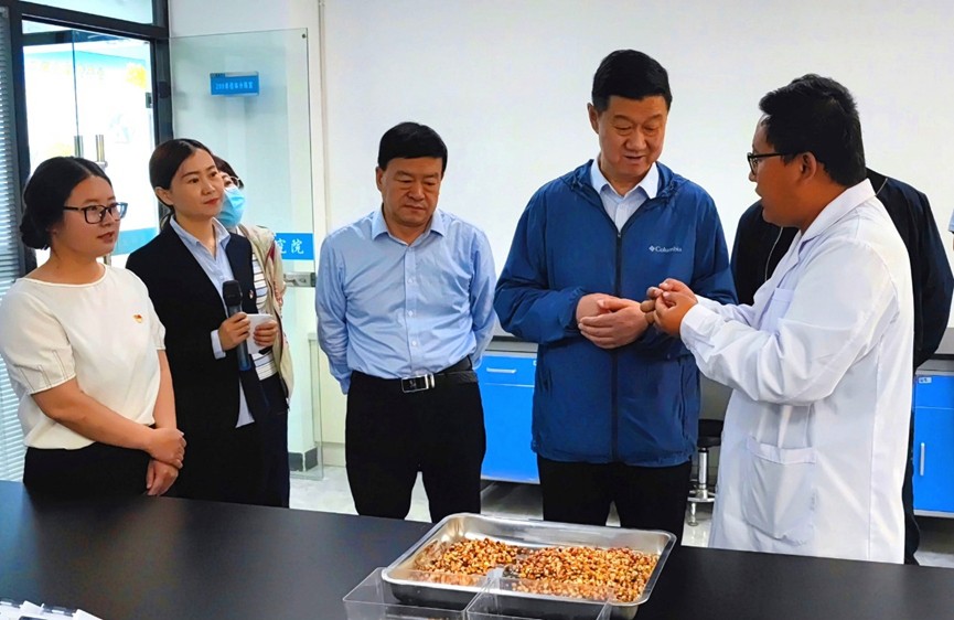 甘肅省地方金融監(jiān)管局、甘肅證監(jiān)局領導蒞臨敦煌種業(yè)調(diào)研指導